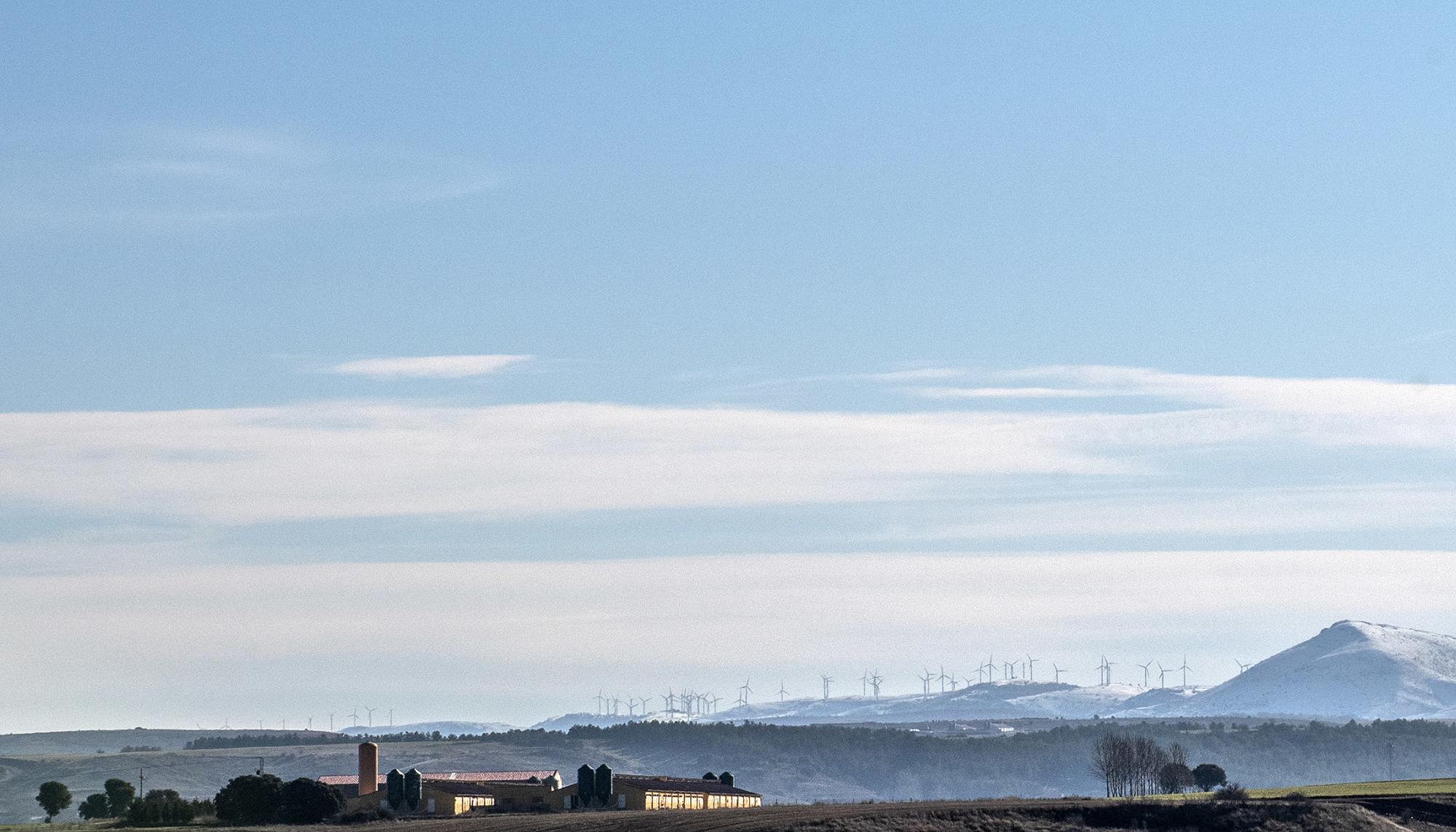 Macrogranja grado del pico